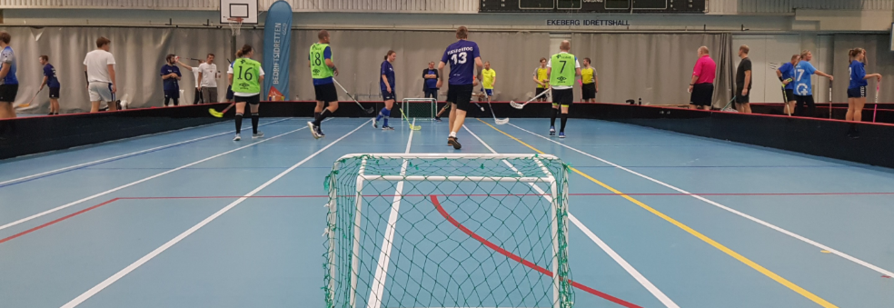 3 mot 3 innebandy - Juleturnering